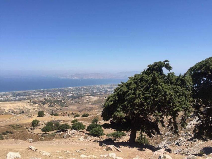 Kos: Full-Day Jeep Safari with Lunch - From hotel pickup to Mount Dikaios