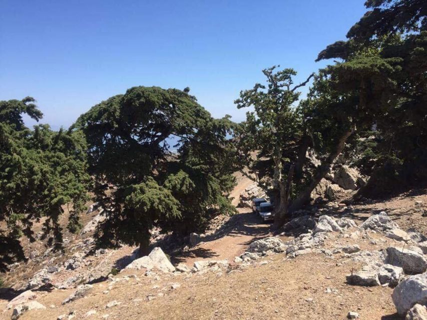 Kos: Full-Day Jeep Safari with Lunch - Profitis Ilias chapel and the mountain pauses