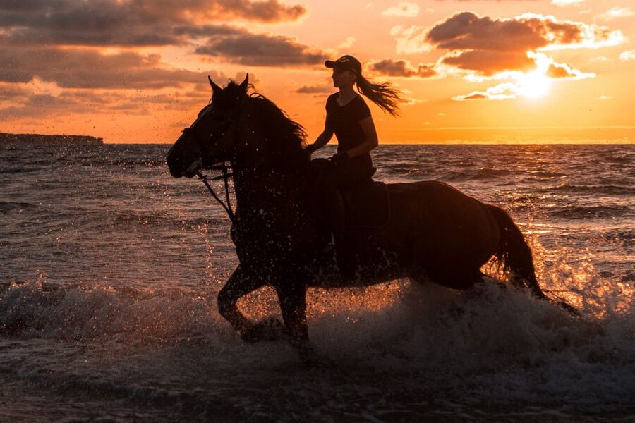 Kos: Horse Riding Experience on the Beach with Instructor - Why this Kos horse ride is different