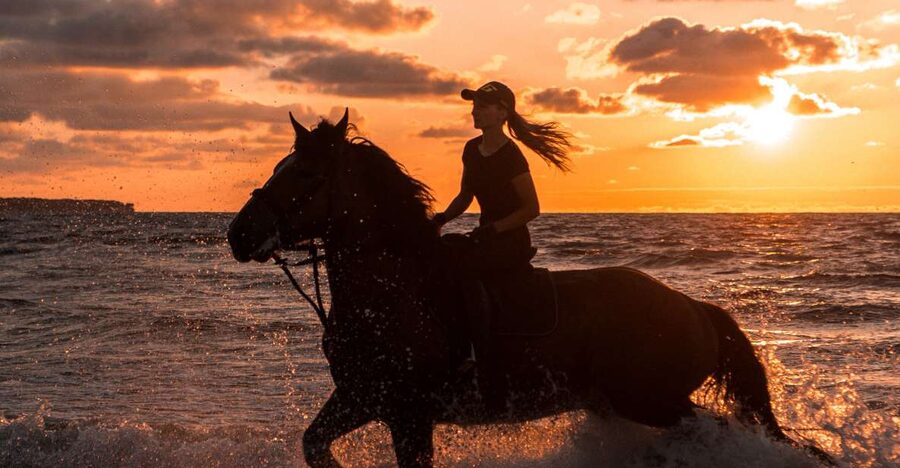 Kos: Horse Riding Experience on the Beach with Instructor - Meeting the horses and finding your level