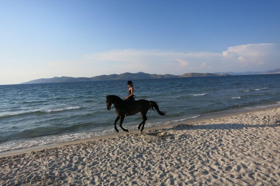 Kos: Horse Riding Experience on the Beach with Instructor - The route around the salt lake
