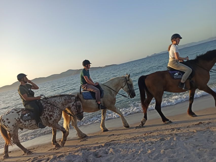 Kos: Horse Riding Experience on the Beach with Instructor - What the $88 price gets you