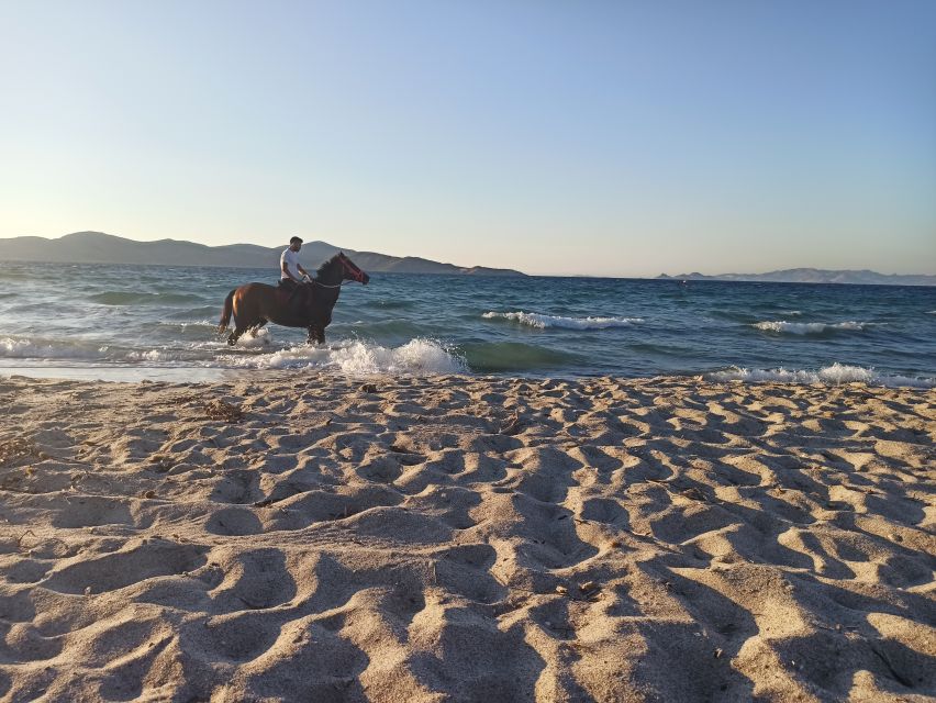 Kos: Horse Riding Experience on the Beach with Instructor - Who should book this activity