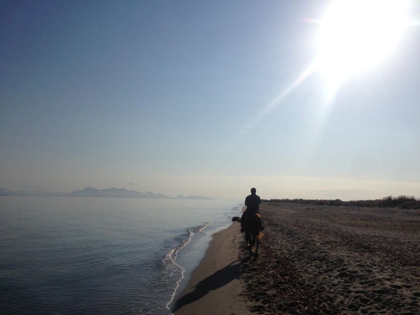 Kos: Horse Riding Experience on the Beach with Instructor - Practical tips for a smoother ride