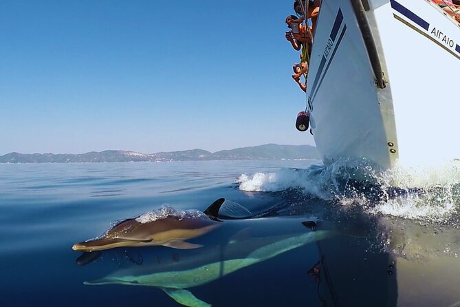 Kos: Small Group Full-Day Sailing with Meal, Drinks, & Swim - Pserimos Island and the pleasure of doing very little
