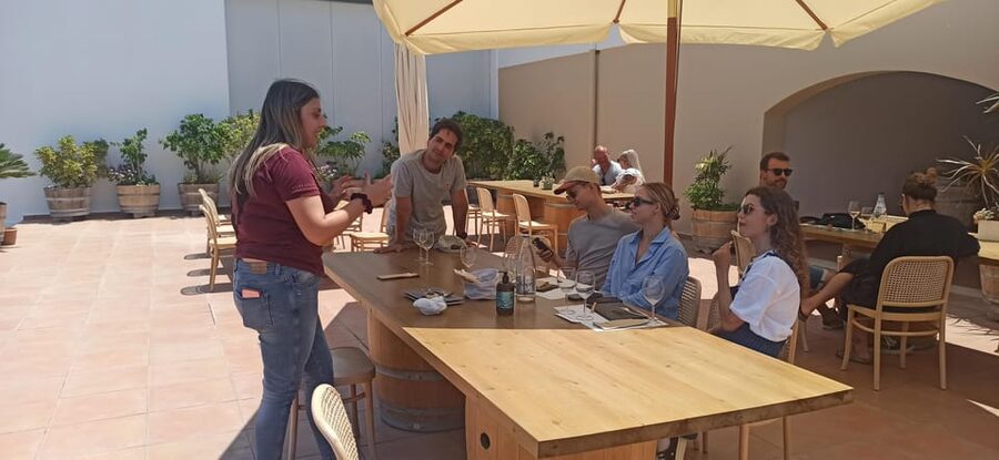 Kos: Wineries Tour w/ Wine Tastings & Transportation - Transport from Kos, Tigaki, Marmari, or Agios Fokas