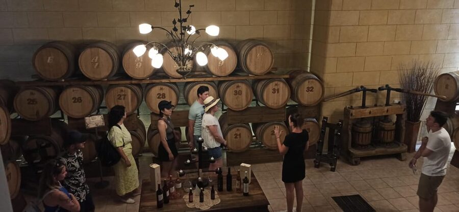 Kos: Wineries Tour w/ Wine Tastings & Transportation - Wine, scenery, and the value of a short outing