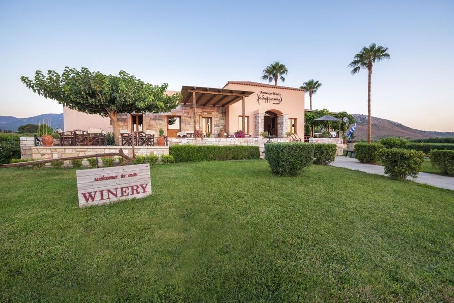 Kos: Wineries Tour w/ Wine Tastings & Transportation - Timing, weather, and a few smart tips