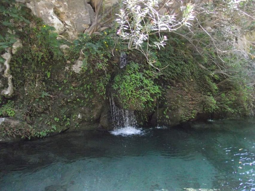 Kourtaliotiko Gorge: Guided River Trekking with Lunch - Should you book the Kourtaliotiko Gorge river trek?