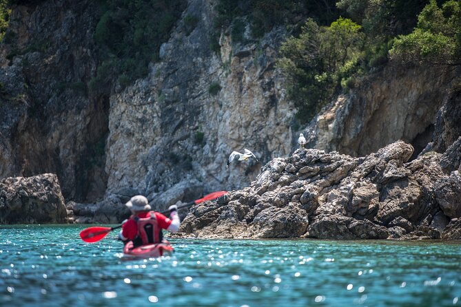 Lefkada Kayak : Explore Blue Cave with a Taste of Greece - Group size and the guide experience