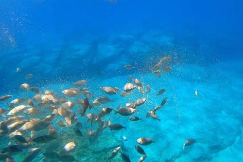 Lindos: Submarine Cruise with Swimming Stop at Navarone Bay - Key points at a glance