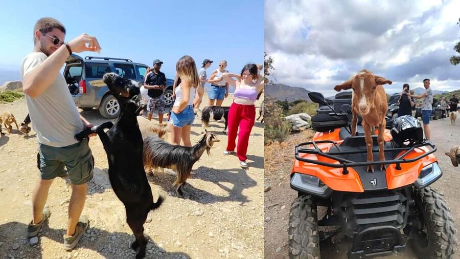 Malia: Off-Road Quad Safari Tour with Lunch and Transfers - Key points to know before you book