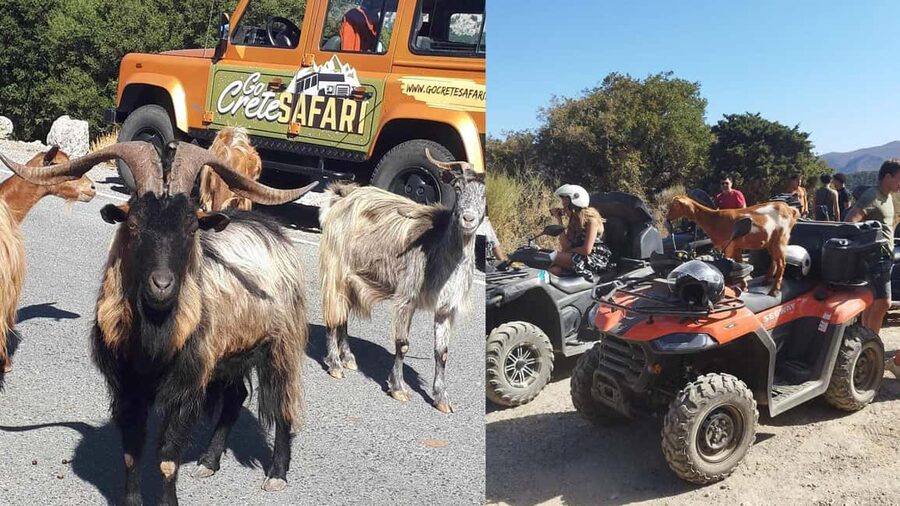 Malia: Off-Road Quad Safari Tour with Lunch and Transfers - Starting in Malia and reaching the back roads