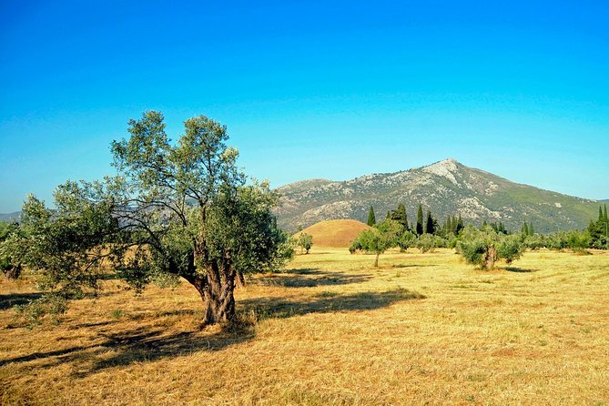 Marathon, Thermopylae, Thebes/Plataea, Herodotus Private Tour 10h - Thebes Museum and the road to Plataea