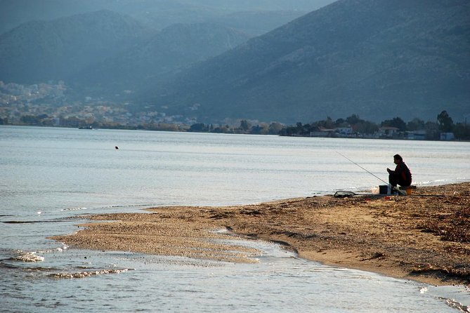 Marathon, Thermopylae, Thebes/Plataea, Herodotus Private Tour 10h - What the $331.32 price really buys