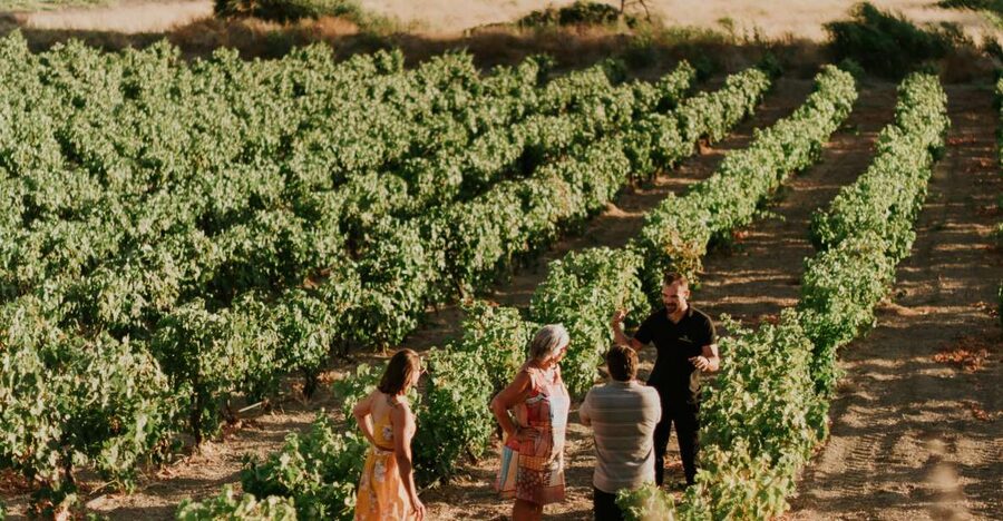 Milos Island: Kostantakis Winery Wine Tasting Experience - What to know before you reserve