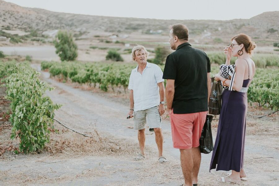 Milos Island: Kostantakis Winery Wine Tasting Experience - Who will enjoy this experience most?