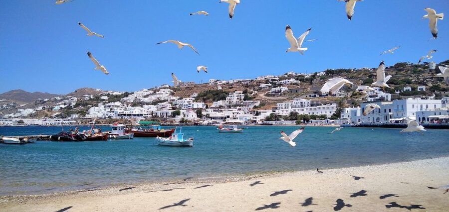 Mykonos: Highlights Tour with Panagia Tourliani Monastery - Agrari Beach and time by the water