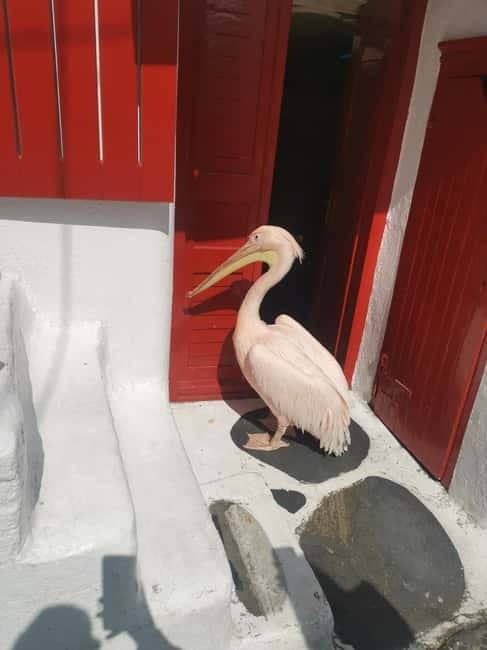 Mykonos: Private Tour with Range Rover - Lighthouse views, beaches, and swimming stops