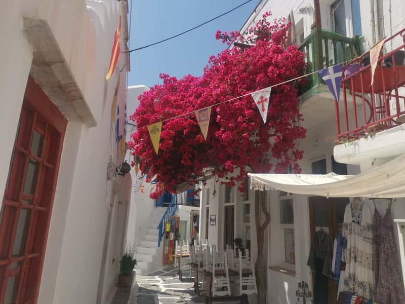 Mykonos: Private Tour with Range Rover - What the guide adds beyond driving