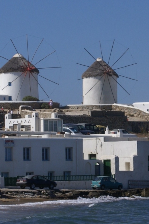 Mykonos Shore Excursion: City & Island Tour - The island by bus: beaches and broad views