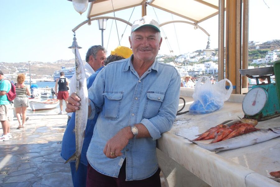 Mykonos Shore Excursion: City & Island Tour - A private group, with guide language choices