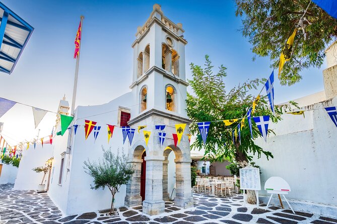 Mykonos Small Group Tour for Cruise Passengers — Port Pickup - Kalafatis Beach and Elia Beach