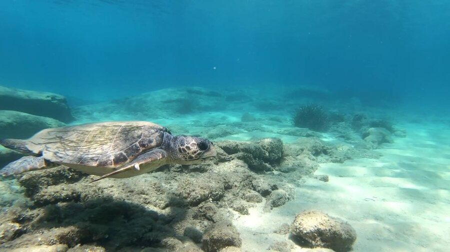Naxos: Discover Scuba Diving - Your first experience diving - Who will enjoy this most