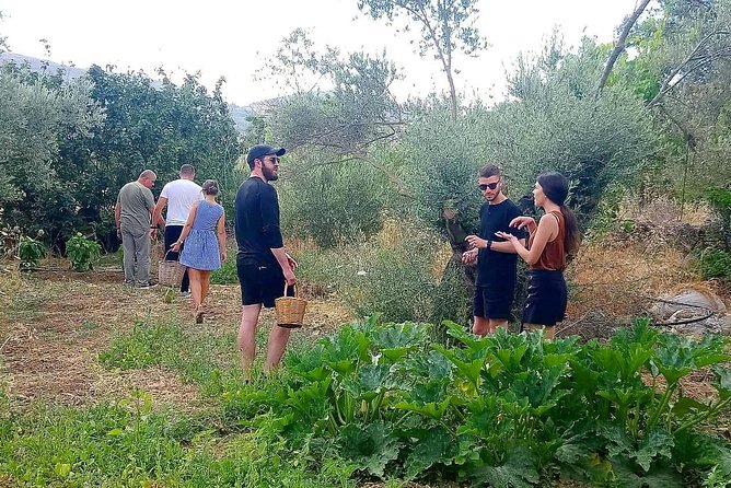 Naxos:Half-day cooking class at Basiliko - Starting at Basiliko Tavern in the countryside