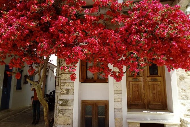 Naxos: Highlights of Naxos Day Tour - Apollonas, a useful seaside pause