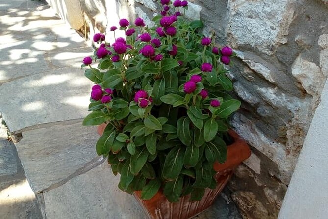 Naxos: Highlights of Naxos Day Tour - The Kouros of Apollonas and the road home