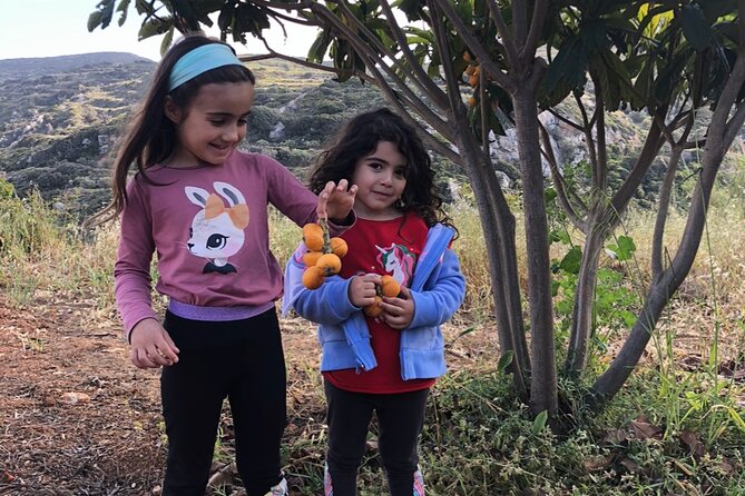 Naxos Perivoli Farm Experience & Wood-fire Cooking Class - Olive trees, oil, potatoes, and seasonal fruit