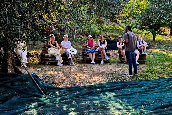 North Corfu Olive Tour With Olive oil Tasting & Meze - One hour among Corfu’s old olive trees