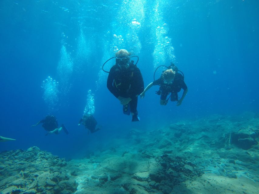 Oia: 2 Guided Scuba Dives off Santorini for Certified Divers - Two Tanks, Two Different Underwater Views