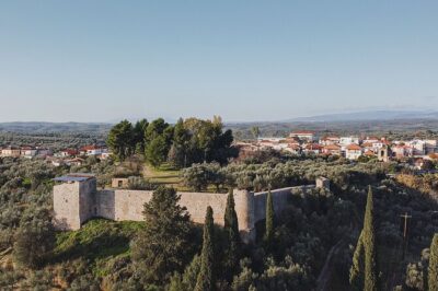 Olive oil Mill Visit & Olive oil tasting Experience