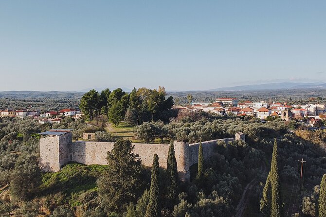 Olive oil Mill Visit & Olive oil tasting Experience - Starting at Androusa Castle and meeting the old olive trees