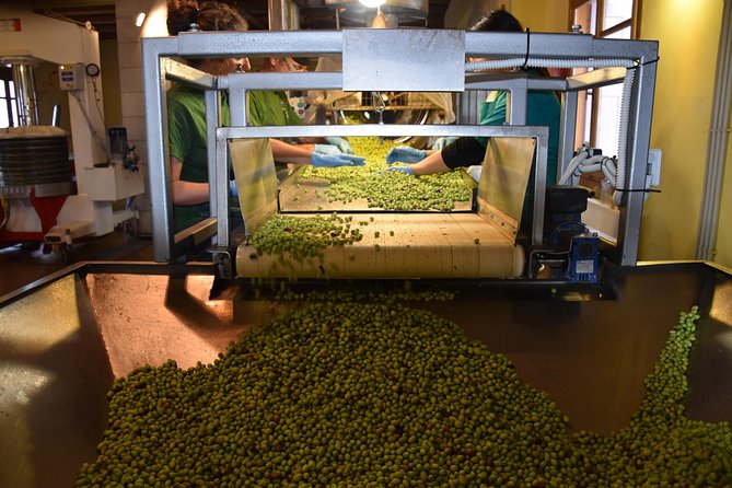 Olive Oil Tasting Tour - Starting among the olive trees in Epano Archanes