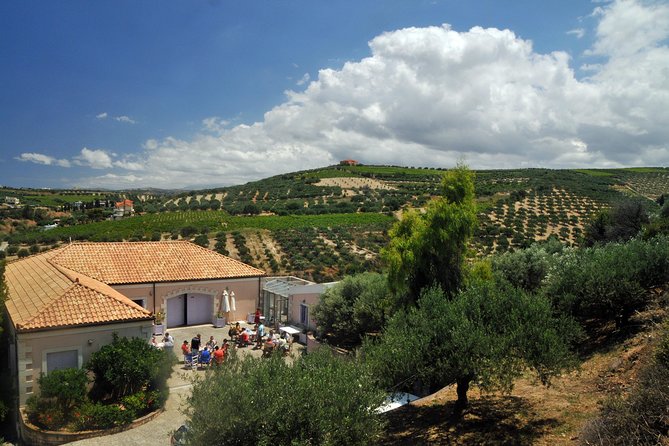 Olive Oil Tasting Tour - Why the private format changes the experience