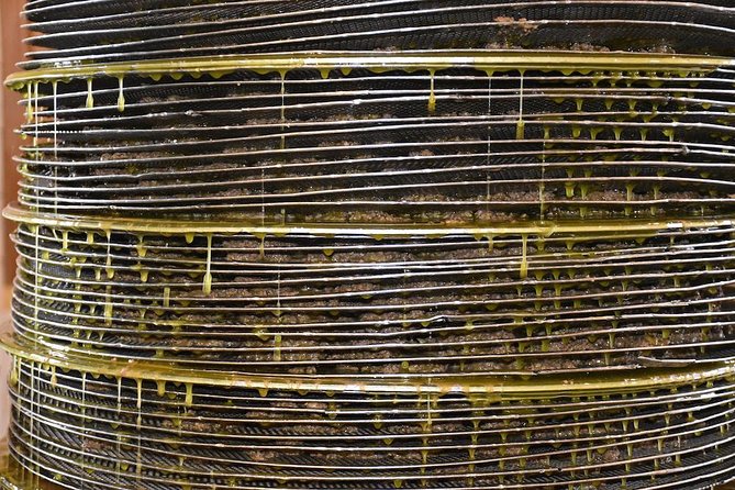 Olive Oil Tasting Tour - Inside the mill: pressing and cold extraction