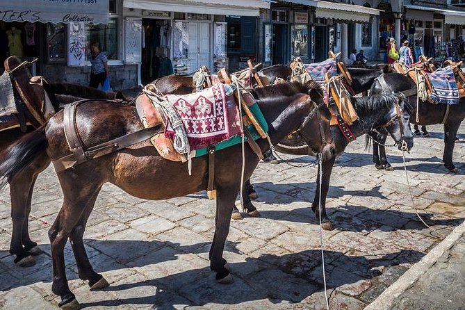 One Day Cruise to Hydra, Poros and Aegina from Athens - Starting near Piraeus at 7:00 a.m.