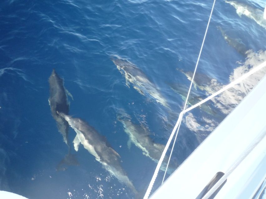 Paros: Iraklia, Schinoussa, & Naxos Sailing Tour with Lunch - What the $200 Price Really Covers
