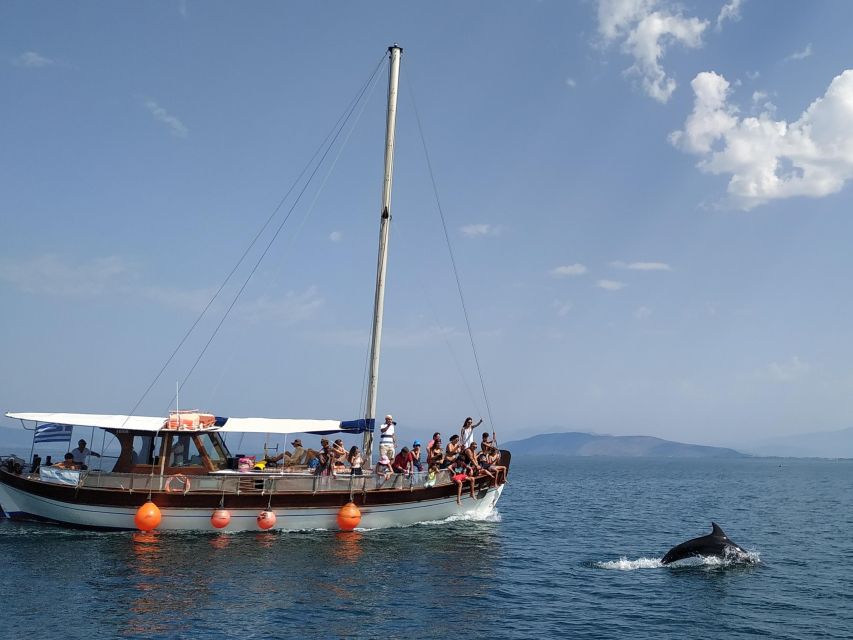 Preveza: Dolphin Watching Cruise with Lunch and Drinks - Leaving Preveza for the Amvrakikos Gulf