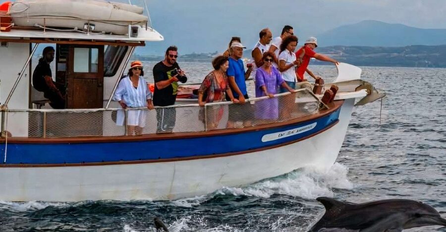 Preveza: Dolphin Watching Cruise with Lunch and Drinks - What the $70 price really covers