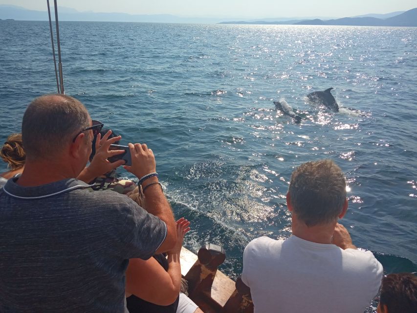 Preveza: Dolphin Watching Cruise with Lunch and Drinks - Who will enjoy this cruise most