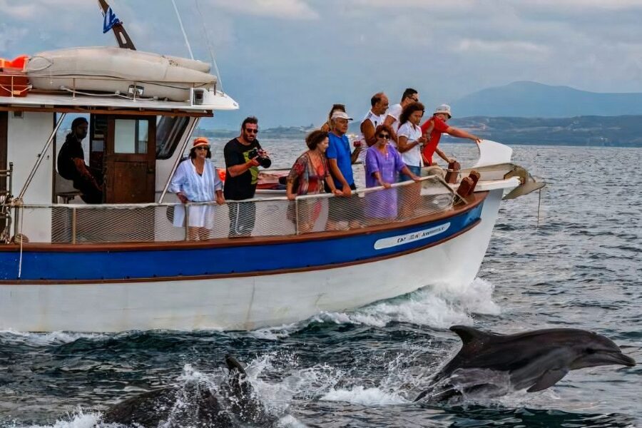 Preveza: Dolphin Watching Cruise with Lunch and Drinks - Should you book the Preveza dolphin cruise?