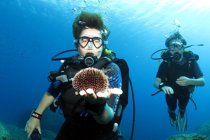 Private Discover Scuba Diving for Beginners in Athens with Pickup - Cancellation and weather planning