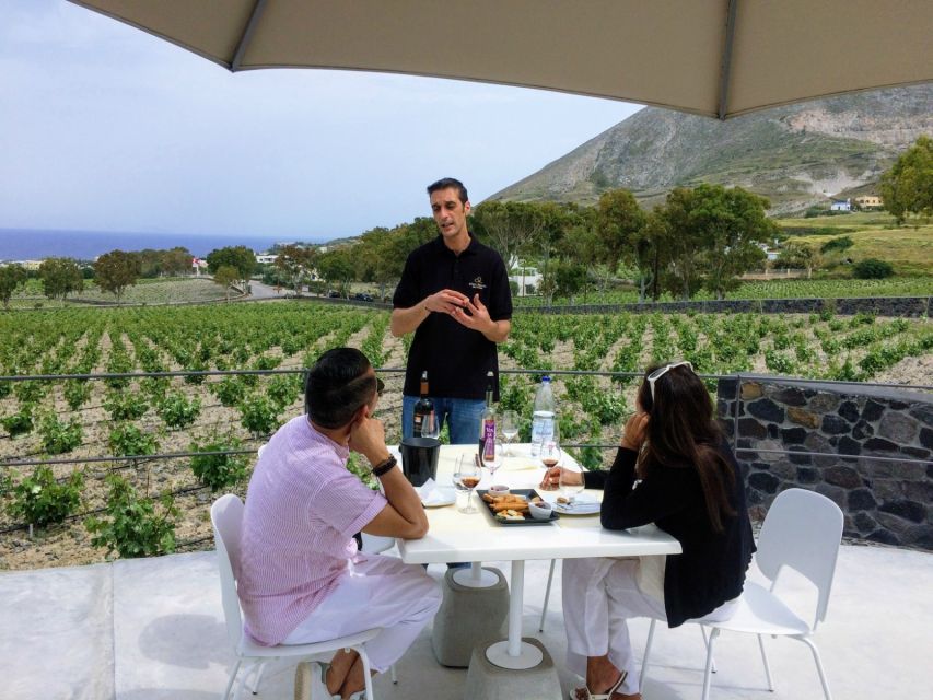 Private Group Visit to Akrotiri & 3 Wineries with Tastings - Three wineries, three different views of Santorini wine