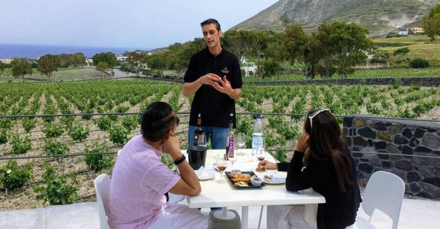 Private Group Visit to Akrotiri & 3 Wineries with Tastings - Is $294 per person a fair price?