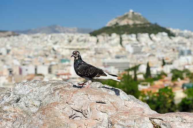 Private Luxury Biblical Tour: Apostle Paul in Athens & Corinth - Areopagus Hill and the speech about the Unknown God