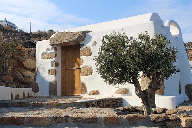 Private Tour: Mykonos Island in Half a Day - What four hours can show you